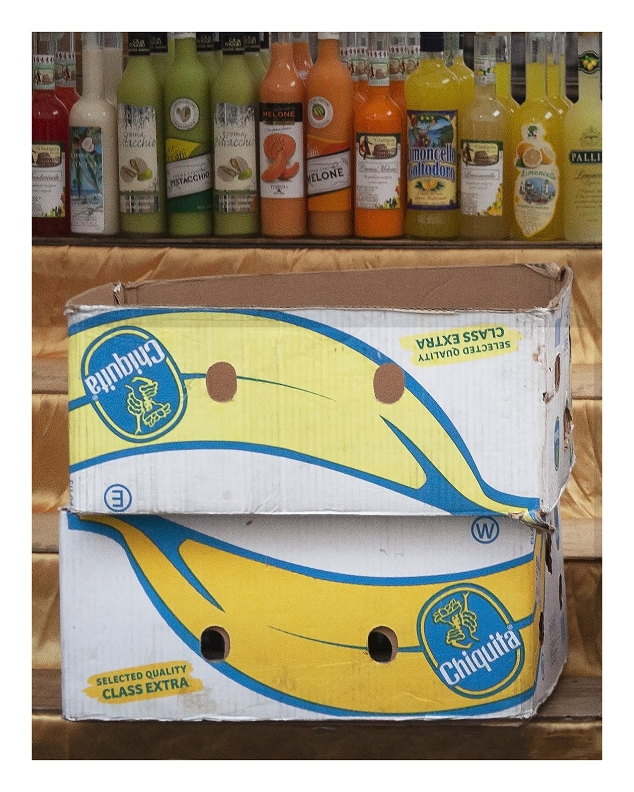 Repubblica Bananera di Roma 05